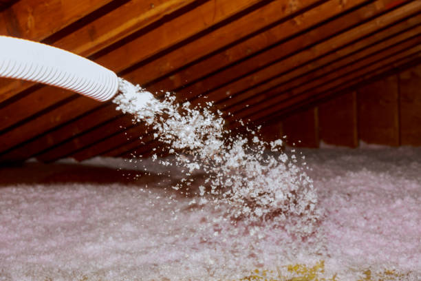 Best Energy-efficient Insulation  in Sully Square, VA