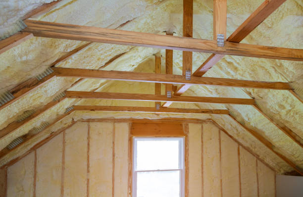 Best Professional Insulation Contractor  in Sully Square, VA