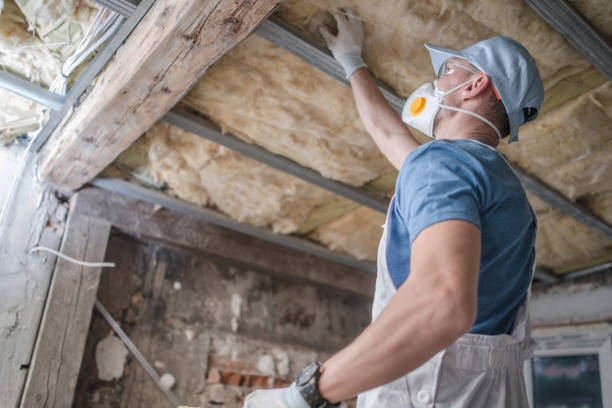 Best Crawl Space Insulation  in Sully Square, VA