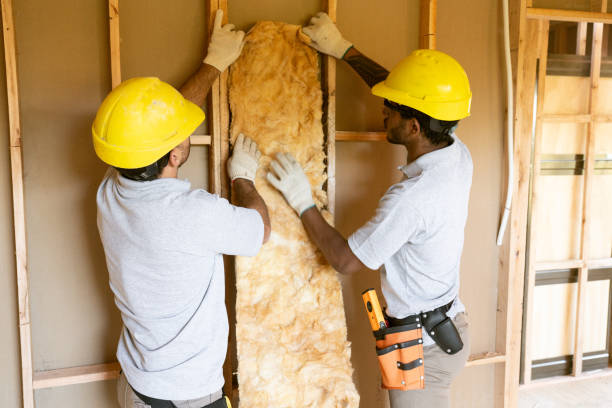 Insulation Replacement Services in Sully Square, VA