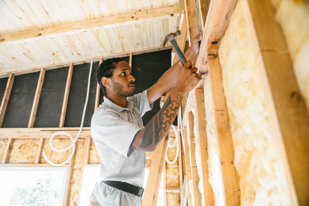 Best Insulation Replacement Services  in Sully Square, VA