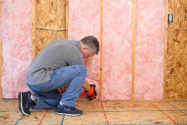 Best Attic Insulation Installation  in Sully Square, VA